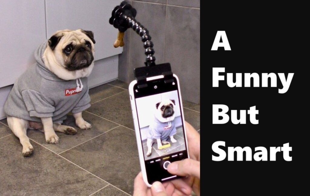 Top 12 most stupid gadgets: Funny mirror